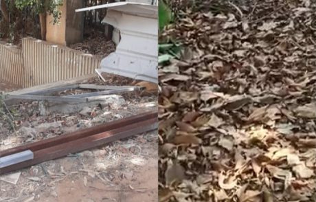 אהבת חינם: אתם פונים, אנחנו מטפלים📸